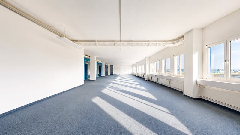 attraktives Preis-Leistungs-Verhältnis - vielseitige Nutzungsmöglichkeiten (10)