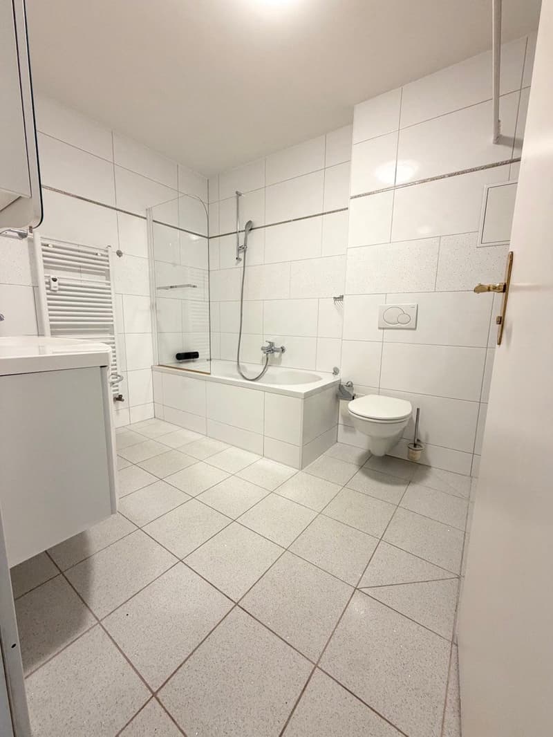 Moderne 3-Zimmer-Wohnung mit Balkon in Binningen (9)