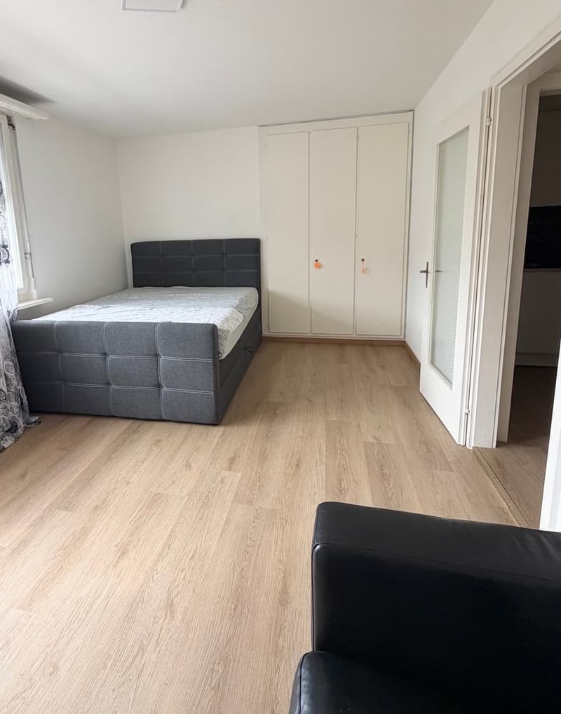 1 Zimmer Wohung zu Vermieten (3)