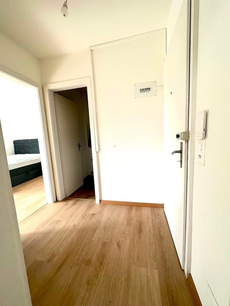 1 Zimmer Wohung zu Vermieten (7)