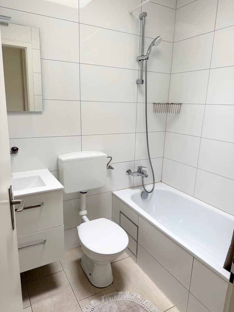 1 Zimmer Wohung zu Vermieten (8)