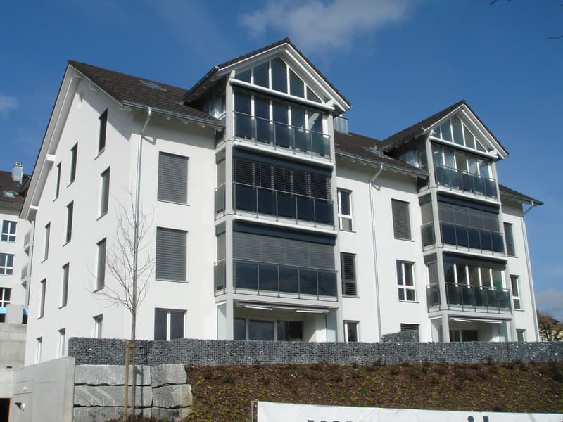 Helle 4.5-Zimmerwohnung mit Balkon und Garage in Oberuzwil (1)