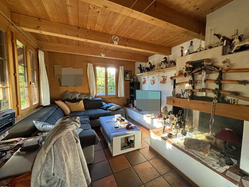 wooden ceiling, fireplace, sofa, coffee table, TV, shelves with various items