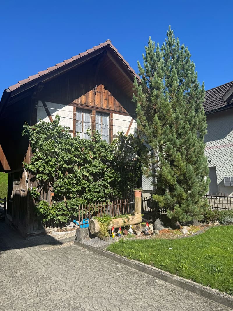 Bäraustrasse 27- Schopf/zusätzliche Nebenräume