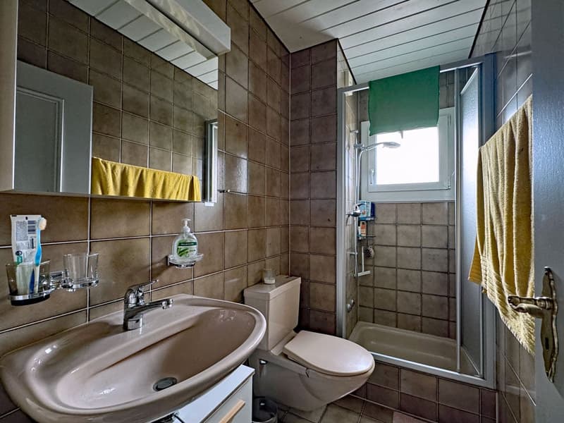 Ruhige Dachwohnung im Dorfkern mit schöner Aussicht (6)