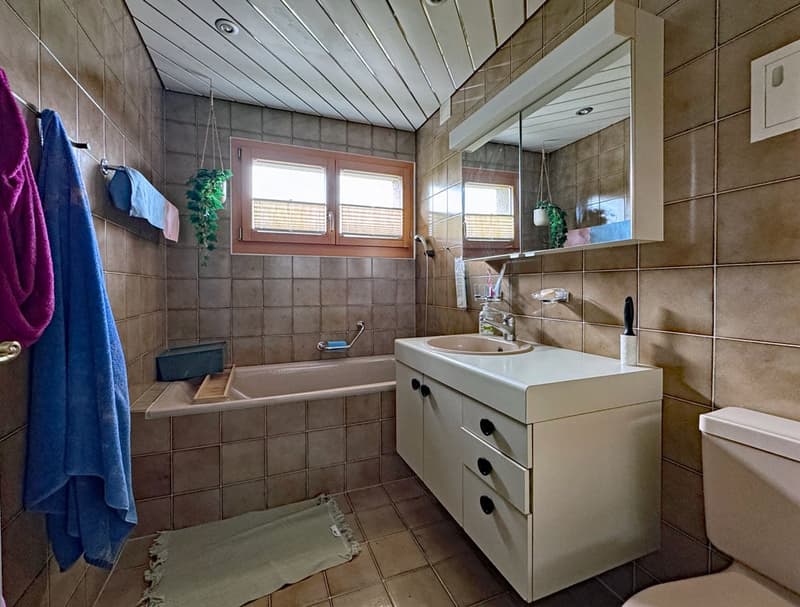 Ruhige Dachwohnung im Dorfkern mit schöner Aussicht (5)