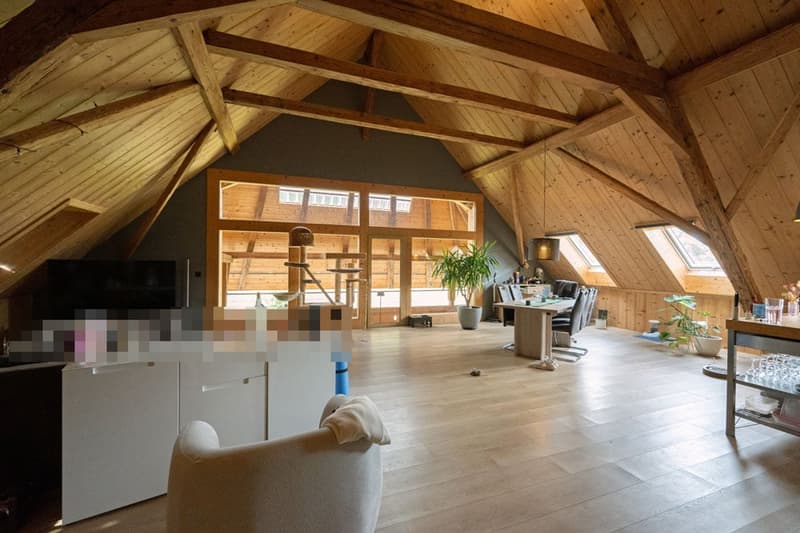 Neuwertiges 6.5 Zimmer Bauernhaus mit zwei Wohnungen und Weitsicht (12)