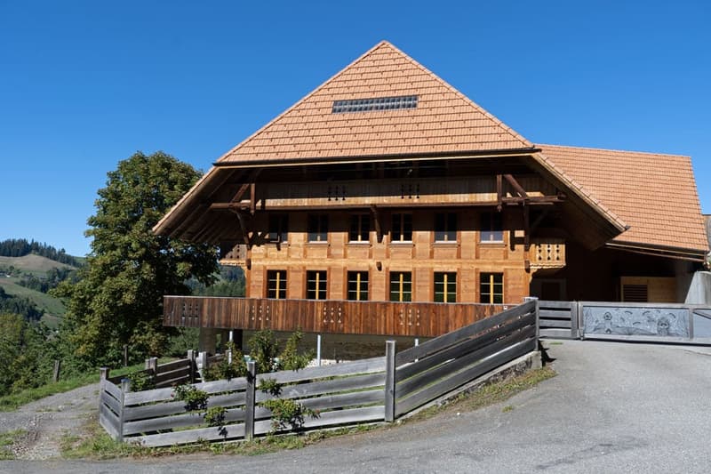 Neuwertiges 6.5 Zimmer Bauernhaus mit zwei Wohnungen und Weitsicht (14)