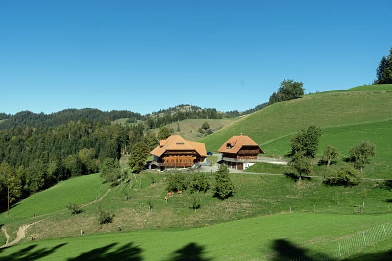 Neuwertiges 6.5 Zimmer Bauernhaus mit zwei Wohnungen und Weitsicht (16)