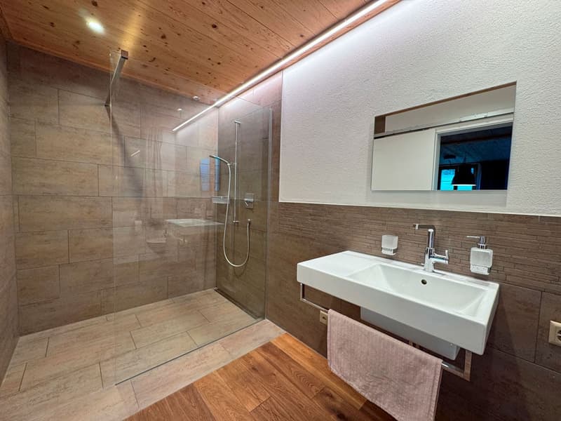 Neuwertiges 6.5 Zimmer Bauernhaus mit zwei Wohnungen und Weitsicht (7)