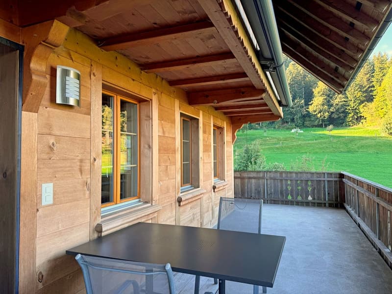 Neuwertiges 6.5 Zimmer Bauernhaus mit zwei Wohnungen und Weitsicht (13)