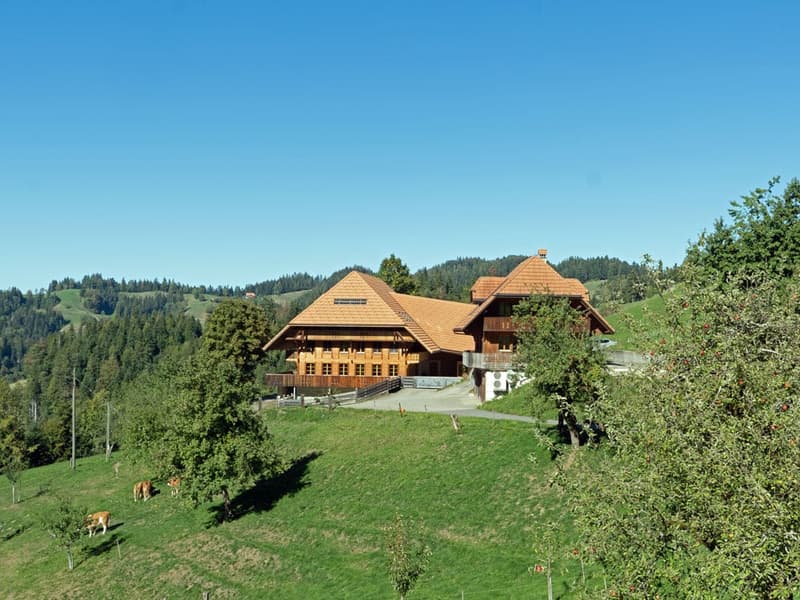 Neuwertiges 6.5 Zimmer Bauernhaus mit zwei Wohnungen und Weitsicht (2)