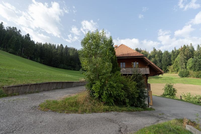 Bauernhaus & Stöckli - ruhig, privat und an Alleinlage (15)