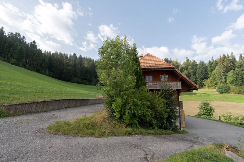 6.5 Zimmer Stöckli – viel Platz im und ums Haus (12)