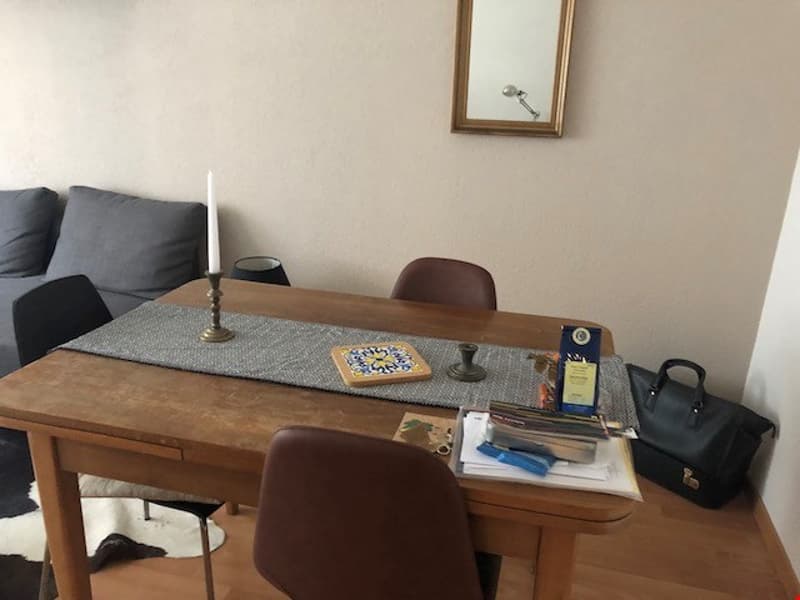 Bright 2.5-room apartment for rent (4)