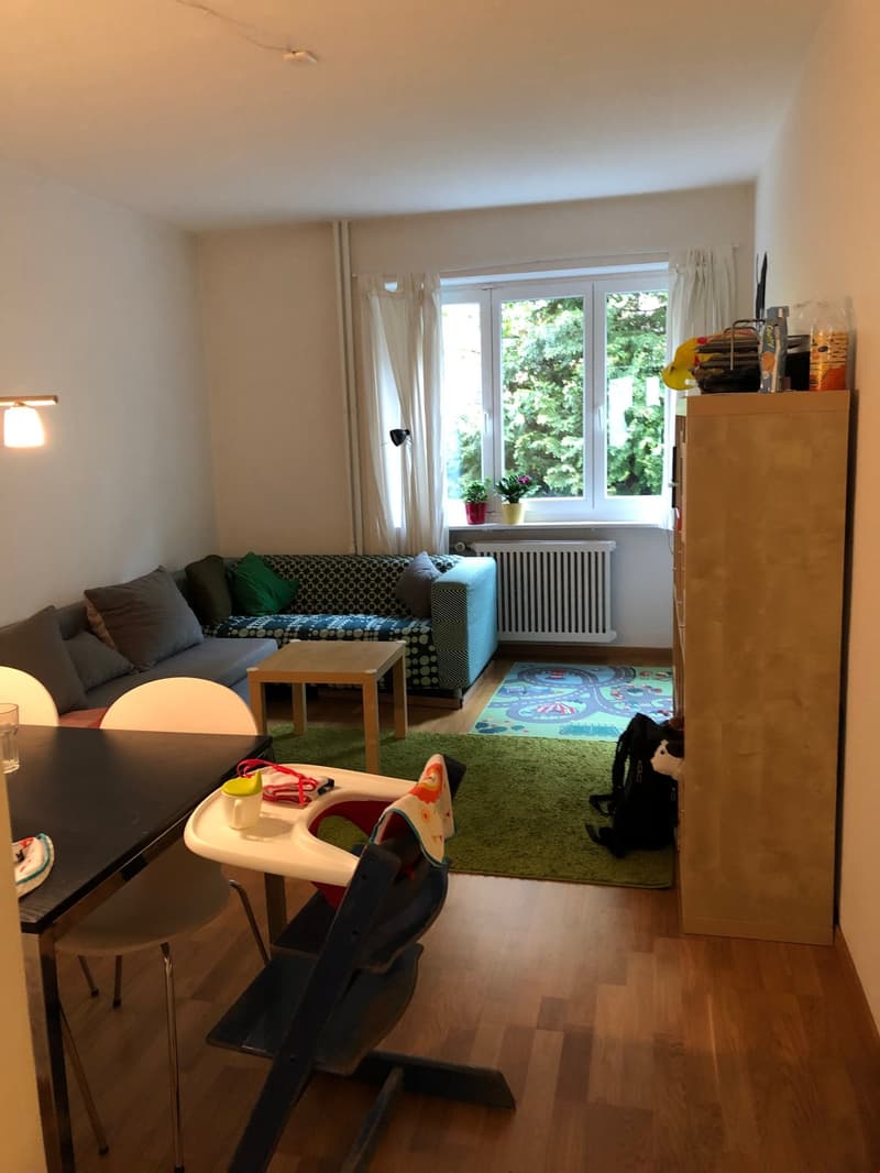 Bright 2.5-room apartment for rent (1)