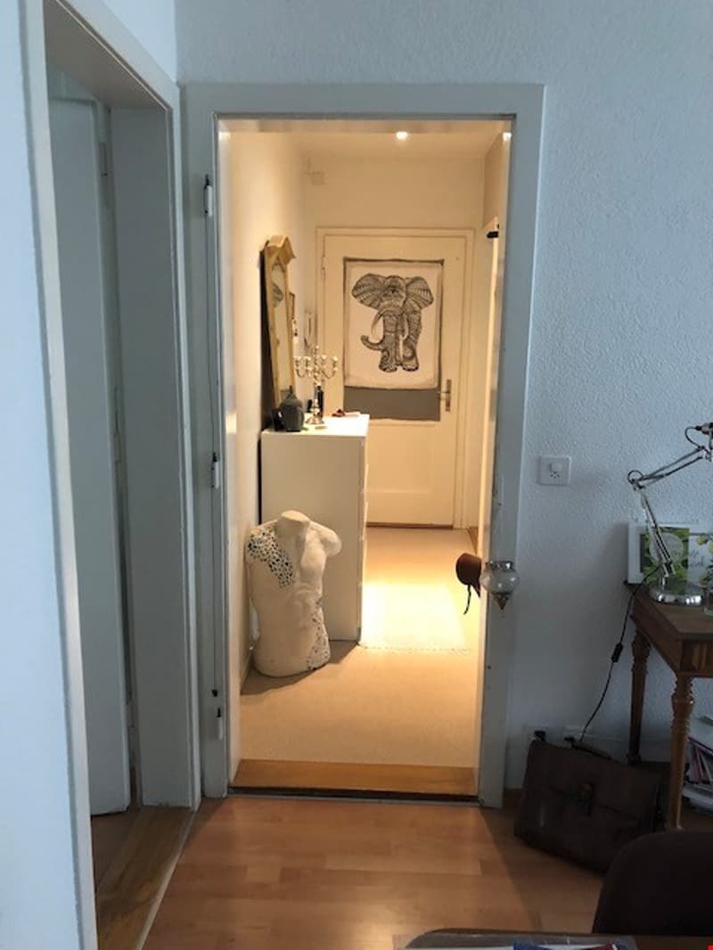 Bright 2.5-room apartment for rent (5)