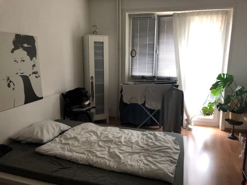 Bright 2.5-room apartment for rent (7)
