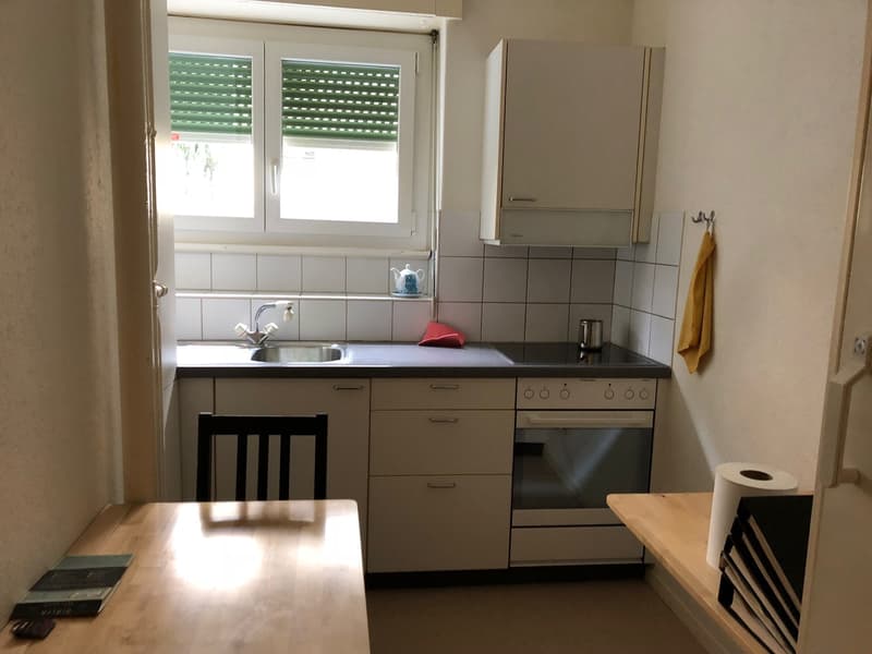 Bright 2.5-room apartment for rent (2)