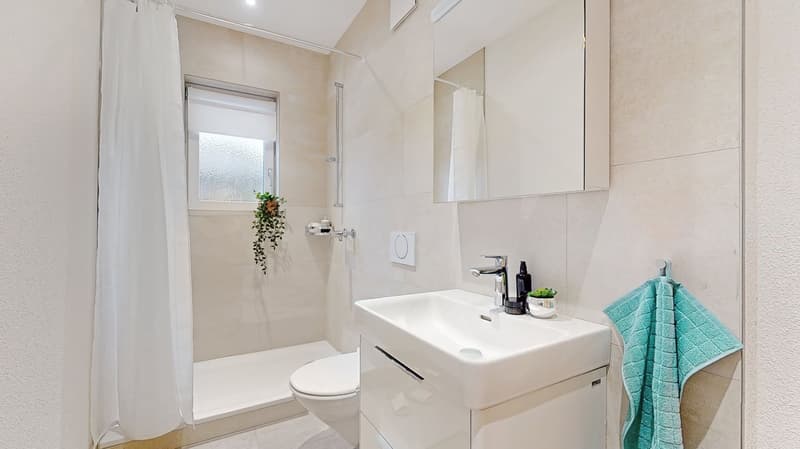 Appartement spacieux, rénové 2.5 pièces (4)