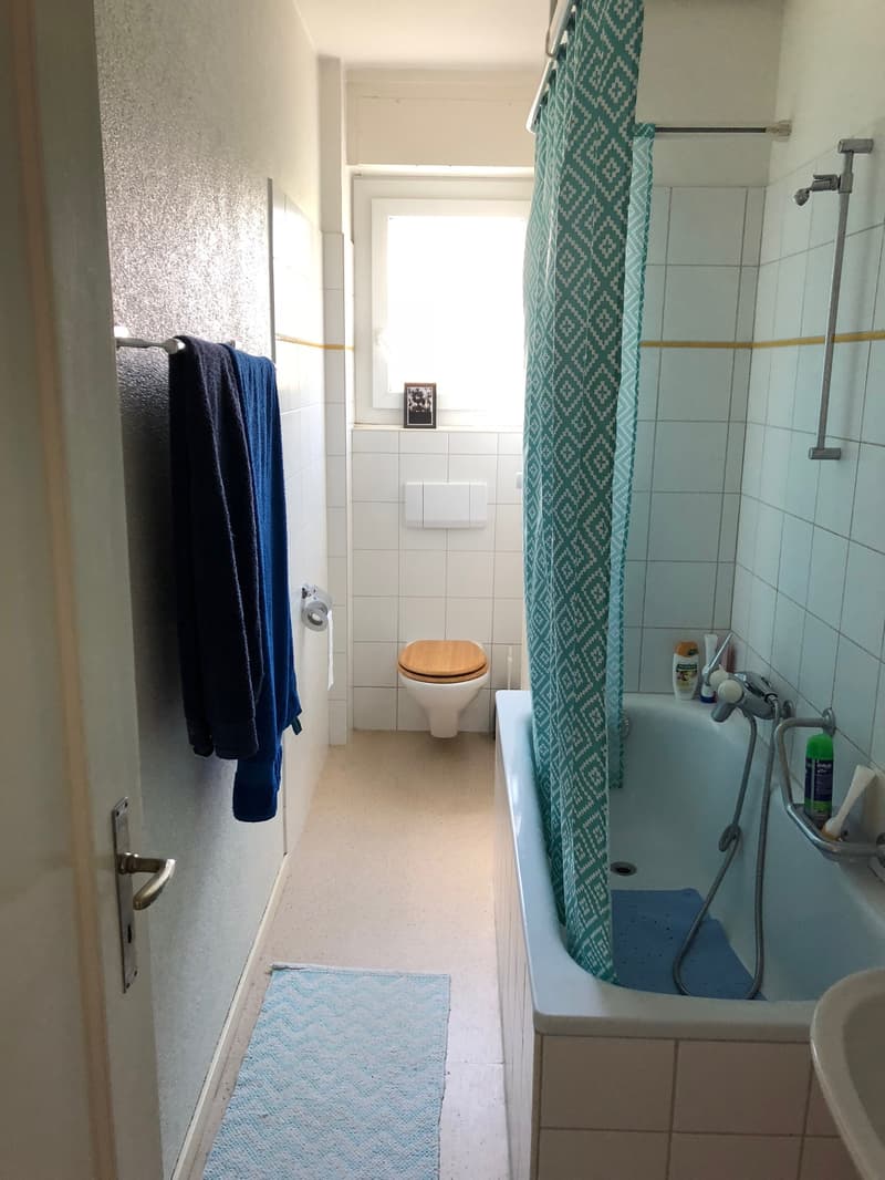 Helle 2.5-Zimmerwohnung zu vermieten (2)