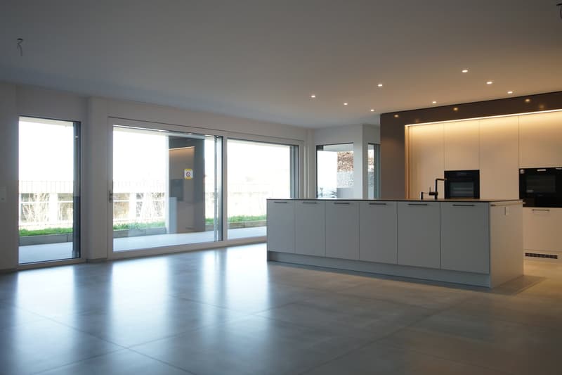 Modern 4.5-room terrace apartment in Oberdorf (1)
