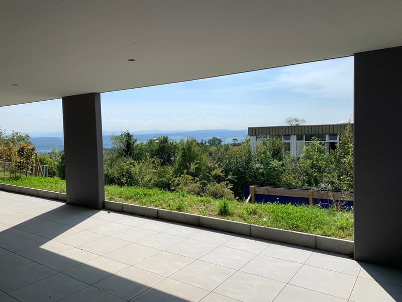 Modern 4.5-room terrace apartment in Oberdorf (10)