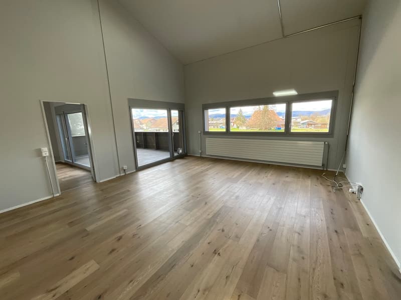 einzigartige Loftwohnung in ruhigem Quartier (3)