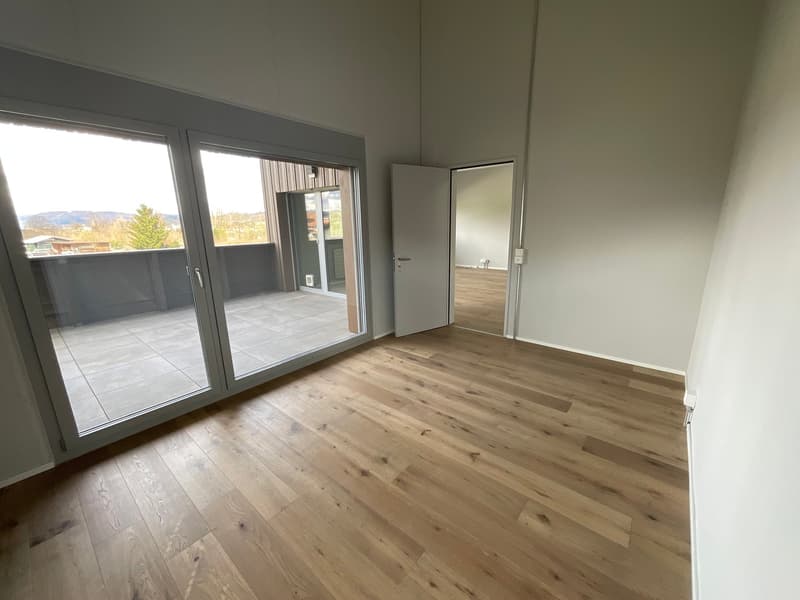 einzigartige Loftwohnung in ruhigem Quartier (5)