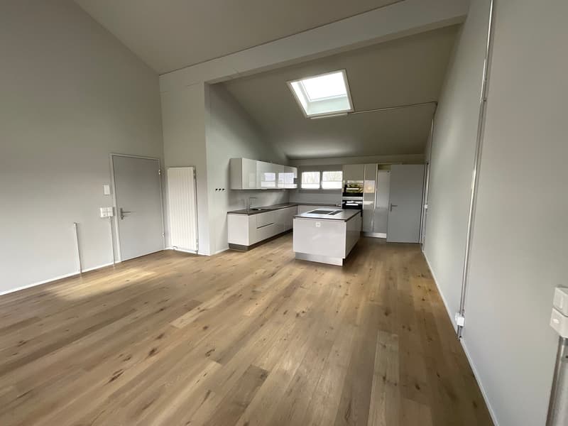 einzigartige Loftwohnung in ruhigem Quartier (1)