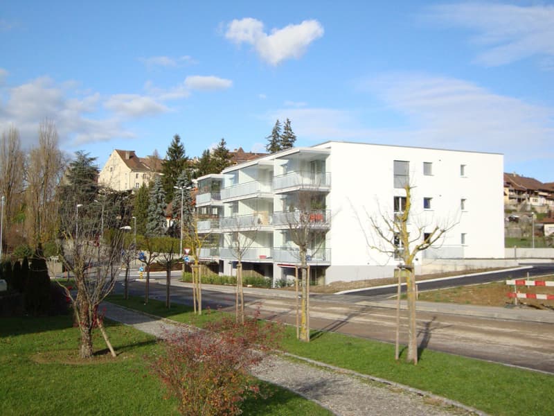 appartement moderne 2½ pièces avec balcon vitré (1)