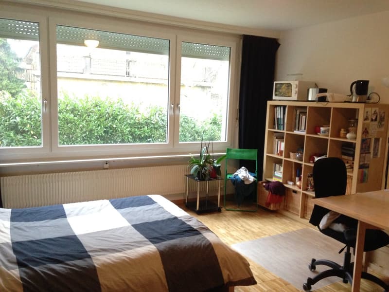 bedroom with bed, desk, chair, bookshelf, window, radiator, plant, green chair