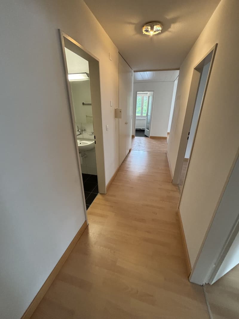 Empty hallway with wooden floor, white walls, and a ceiling light