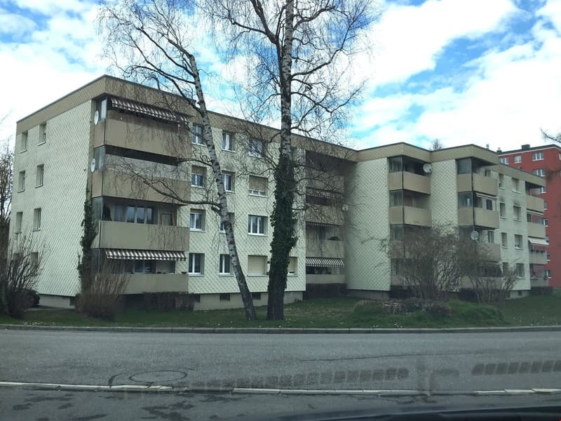 Beautiful 3.5-room old building apartment in Murten (2)