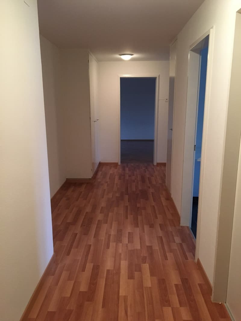 Beautiful 3.5-room old building apartment in Murten (3)
