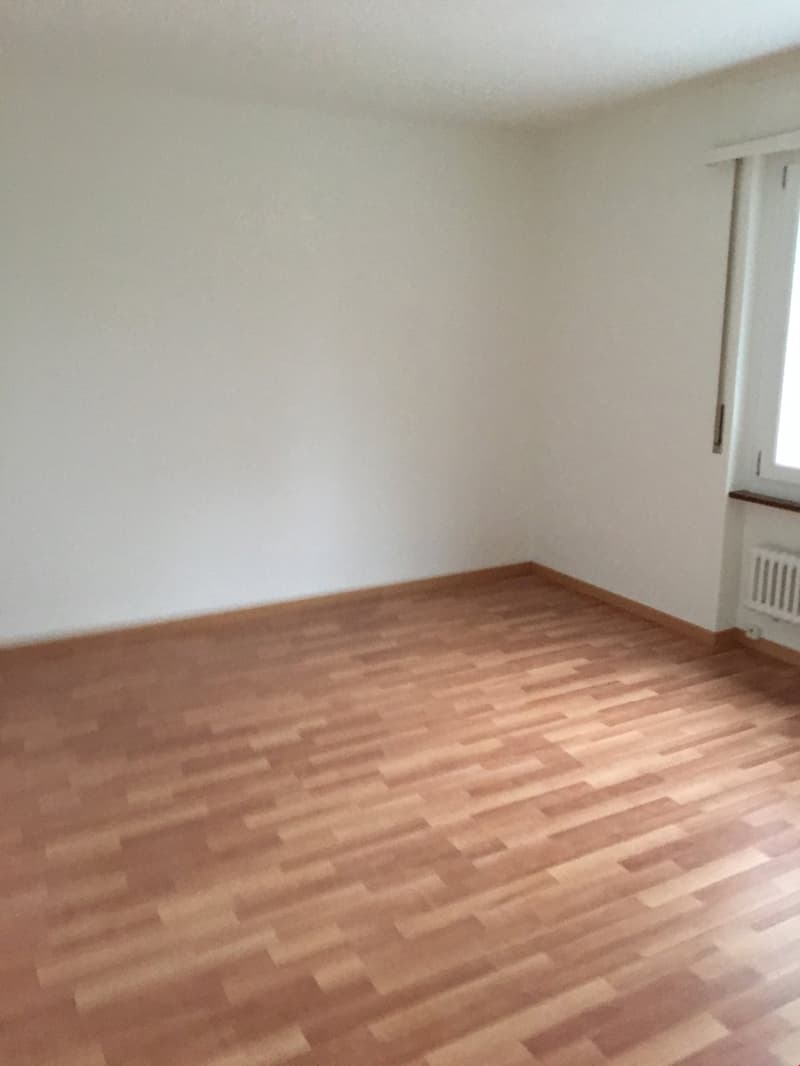 Beautiful 3.5-room old building apartment in Murten (11)