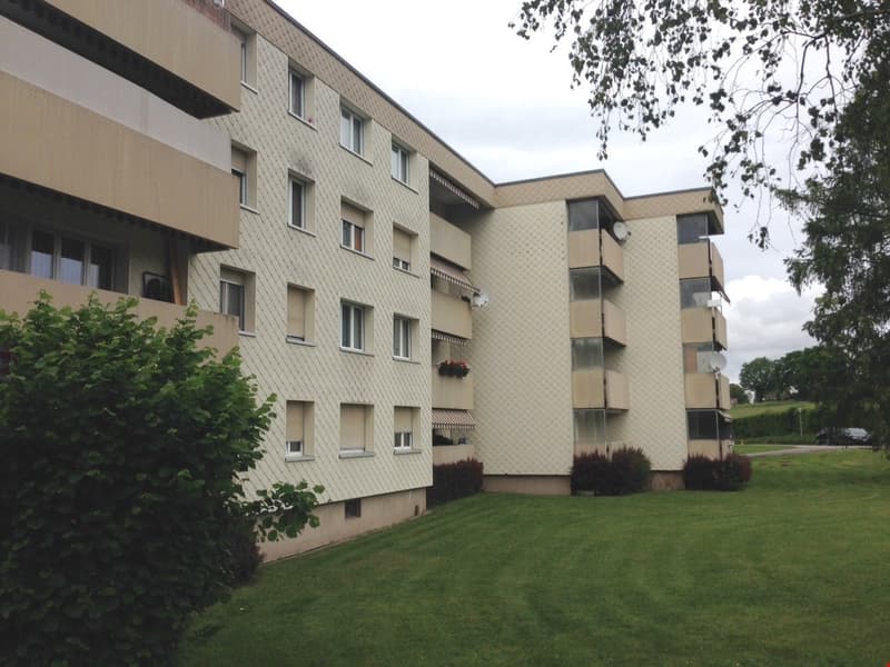 Beautiful 3.5-room old building apartment in Murten (1)