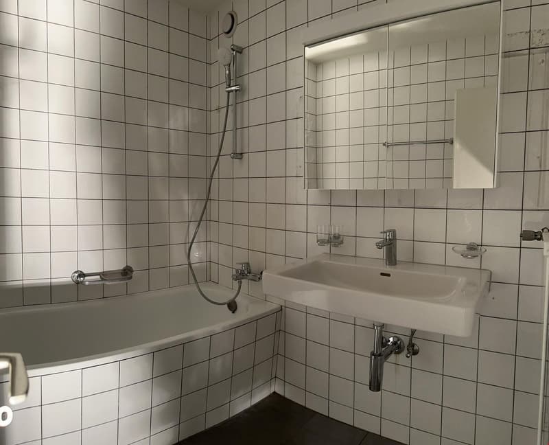 Appartement 4.5 pièces abordable avec balcon à Brügg (3)