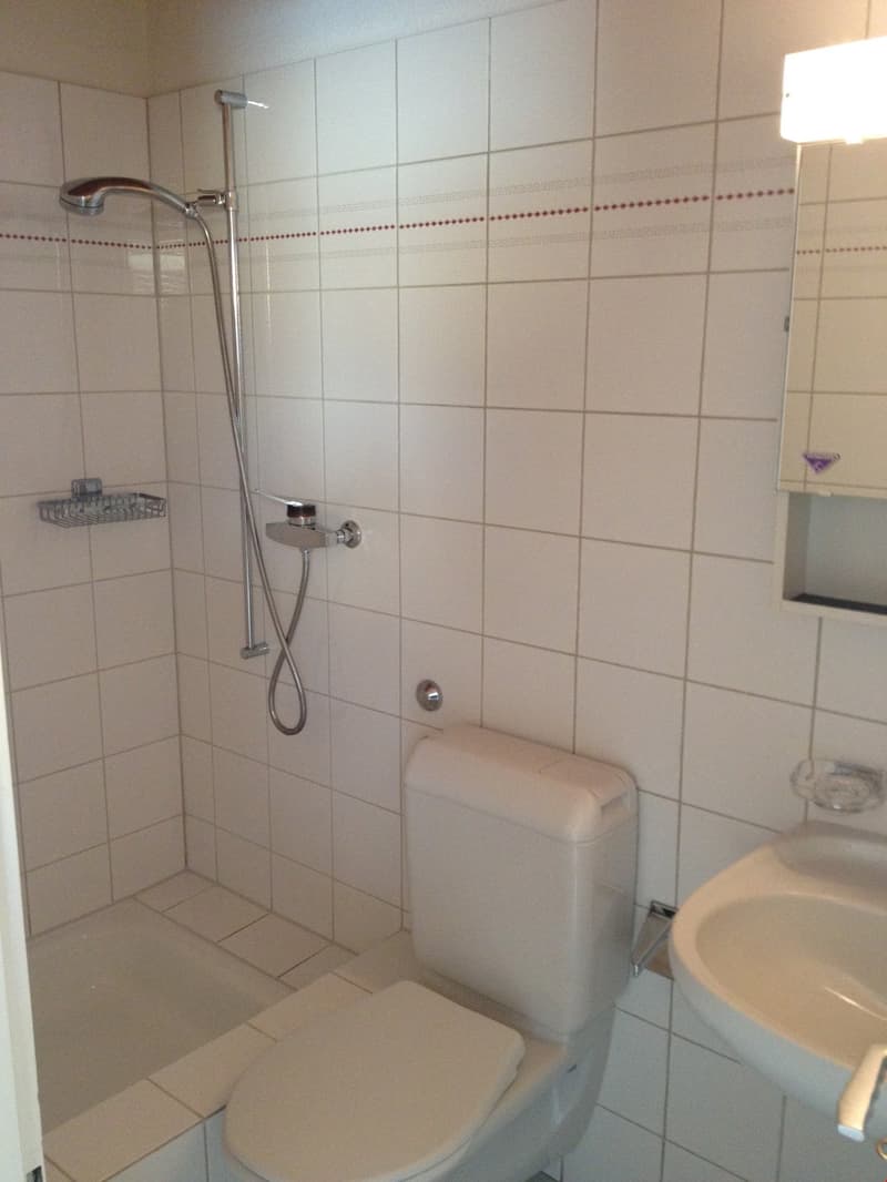 günstiges Studio in Aegerten (4)