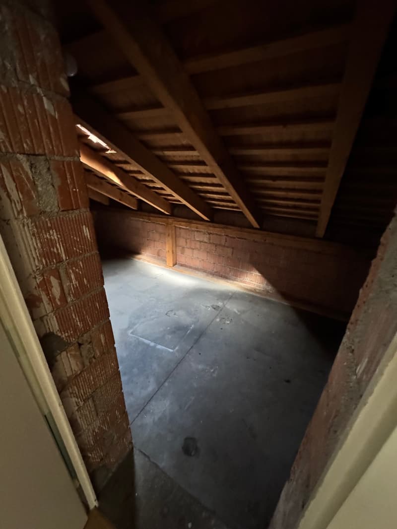 Appartamento 2 camere bello e luminoso in un quartiere tranquillo (8)