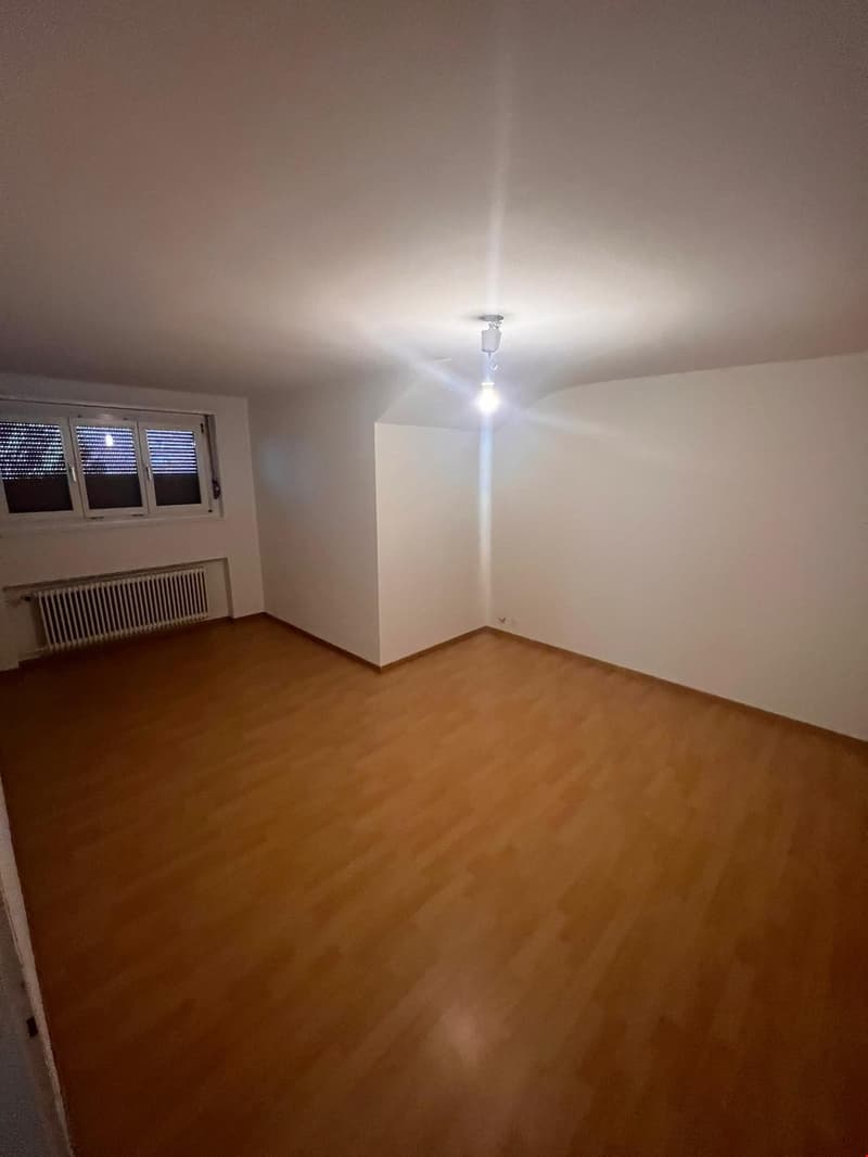 Appartamento 2 camere bello e luminoso in un quartiere tranquillo (6)