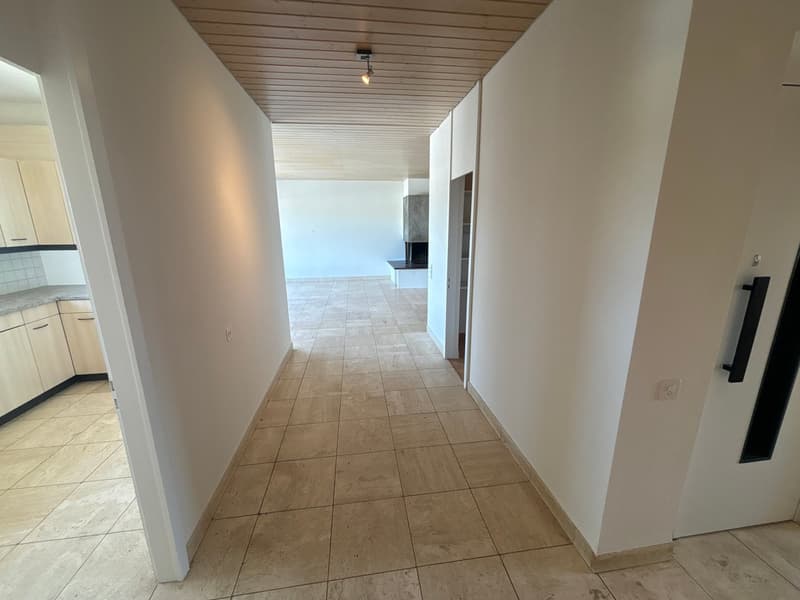 teilrenovierte 5.5-Attikazimmerwohnung an ruhiger Lage mit Aussen-Pool (12)