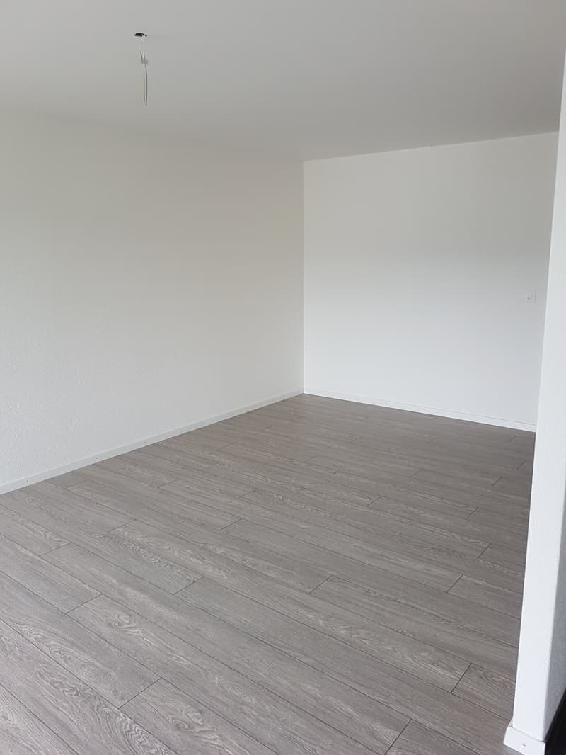 Newly renovated apartment in Brügg (6)