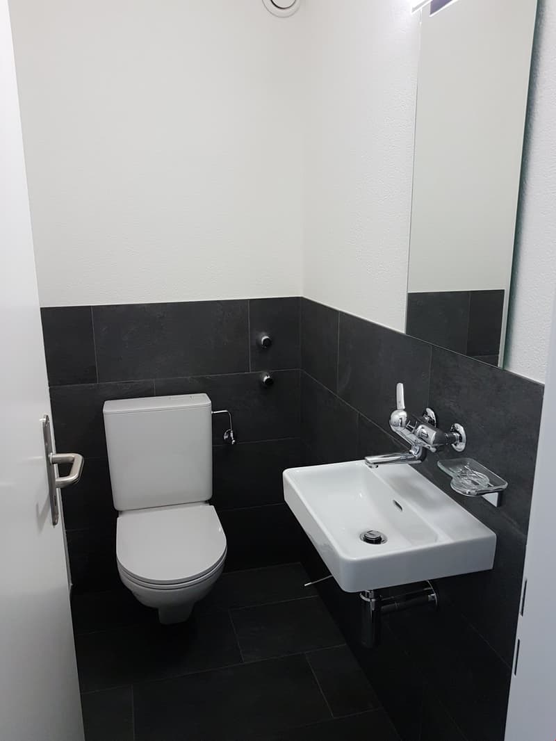 Newly renovated apartment in Brügg (11)