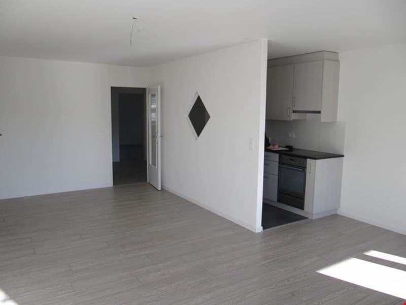 Newly renovated apartment in Brügg (4)
