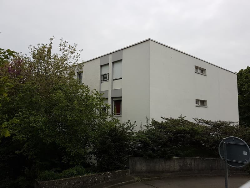 Newly renovated apartment in Brügg (2)