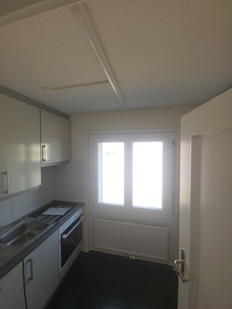 renovierte 4.5-Zimmerwohnung an ruhiger Lage mit Aussen-Pool (2)