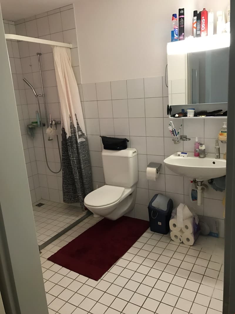 schöne und helle 2-Zimmerwohnung mit Gartensitzplatz an ruhiger Lage (5)