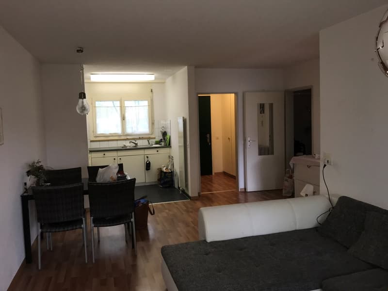 schöne und helle 2-Zimmerwohnung mit Gartensitzplatz an ruhiger Lage (7)