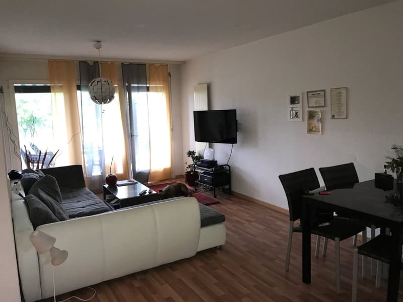schöne und helle 2-Zimmerwohnung mit Gartensitzplatz an ruhiger Lage (6)